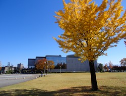 富山県近代美術館